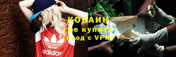 дмт Карпинск
