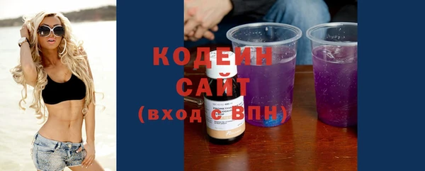 дмт Карпинск