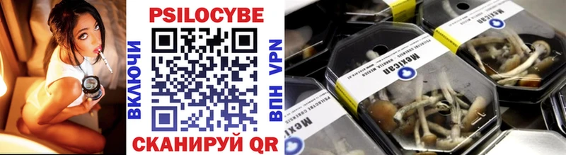 Псилоцибиновые грибы прущие грибы  Купить где  Минеральные Воды 